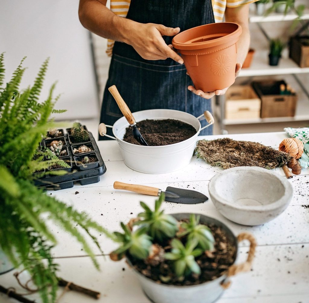خاک مناسب گیاهان آپارتمانی