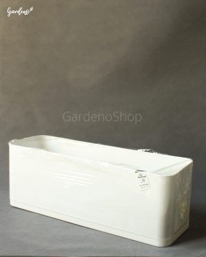 6289