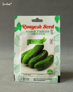 بذر خیار بوته‌ای