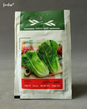 بذر سالاد کوهی