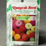 بذر آهار پاکوتاه گلدانی