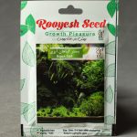 بذر بستر گیاهان آبزی