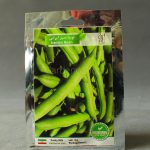 بذر لوبیا سبز ایرانی